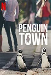 Miasto pingwinów